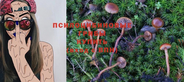спиды Армянск
