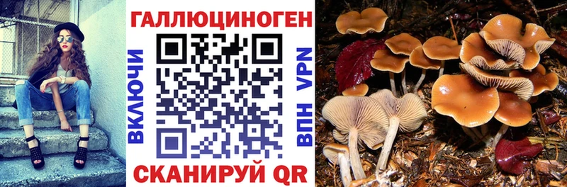 гидра ТОР  Томилино  Галлюциногенные грибы ЛСД  цена  